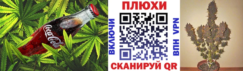 Canna-Cookies конопля  сколько стоит  Спасск-Дальний 