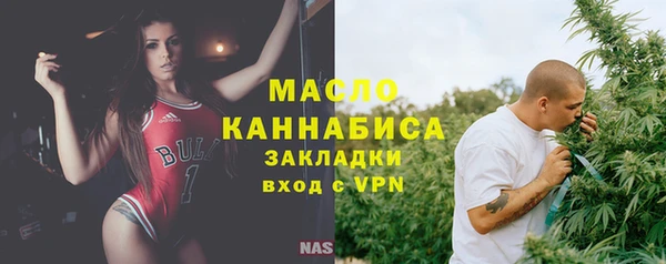 индика Богданович