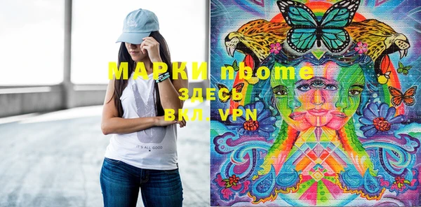 индика Богданович