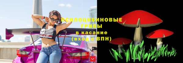 индика Богданович