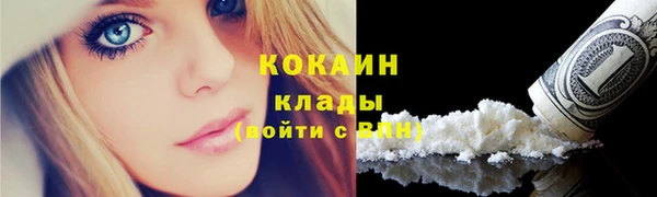 индика Богданович