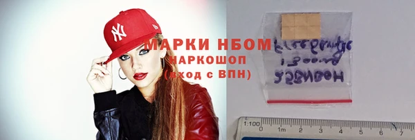 шишки Арсеньев