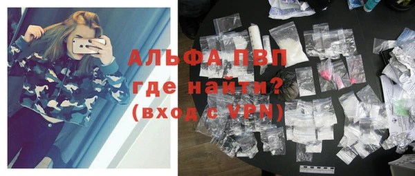шишки Арсеньев