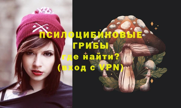индика Богданович