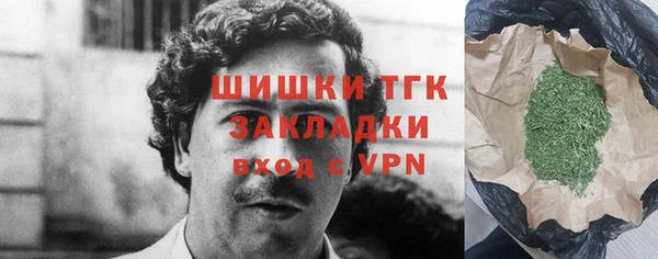 индика Богданович