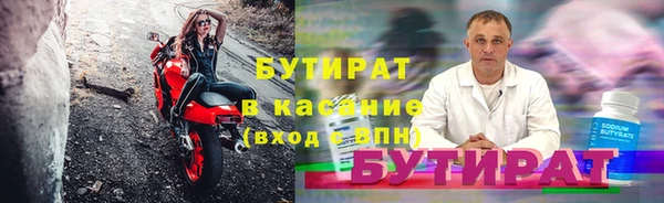 индика Богданович
