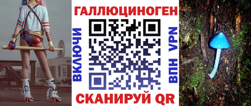 Псилоцибиновые грибы Psilocybe  Спасск-Дальний 